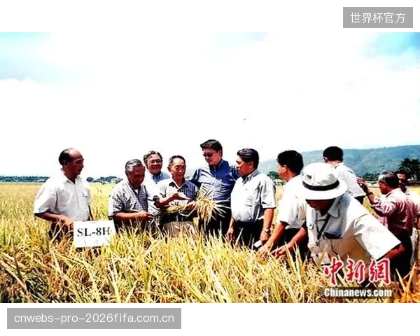 在气候多变的中国南方，投资传统壁球馆是否等于默认了墙体开裂的风险？模块化铝合金与激光精度如何规避这一难题？