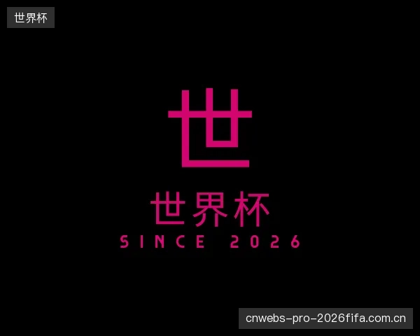 关于世界杯公司
